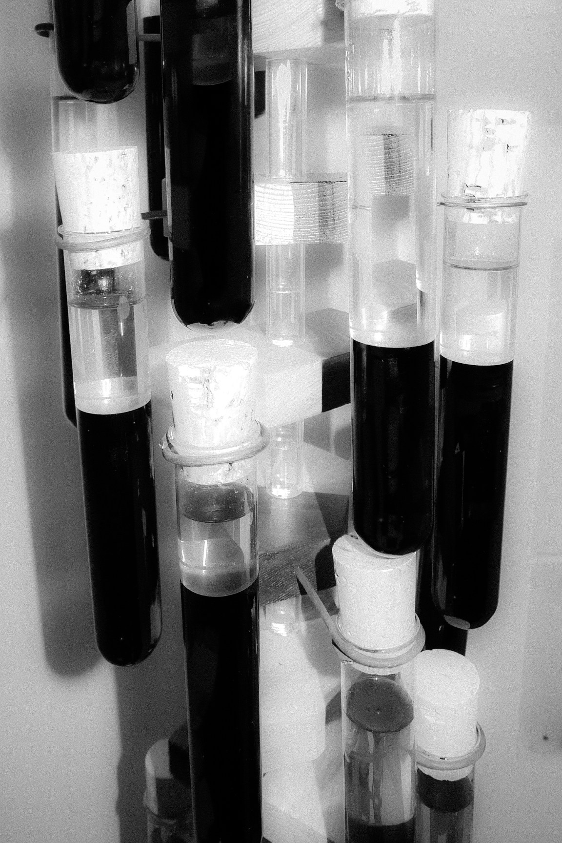 Exhibtion - The Freudian Sheep Gallery, Ipswich